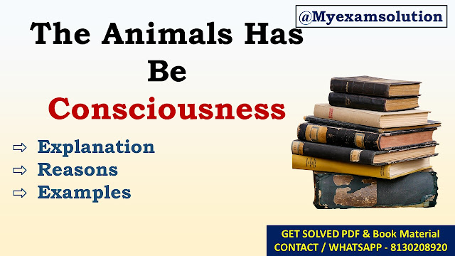 Do you agree that animal has consciousness