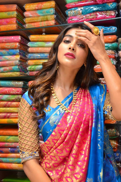 pooja hedge in saree