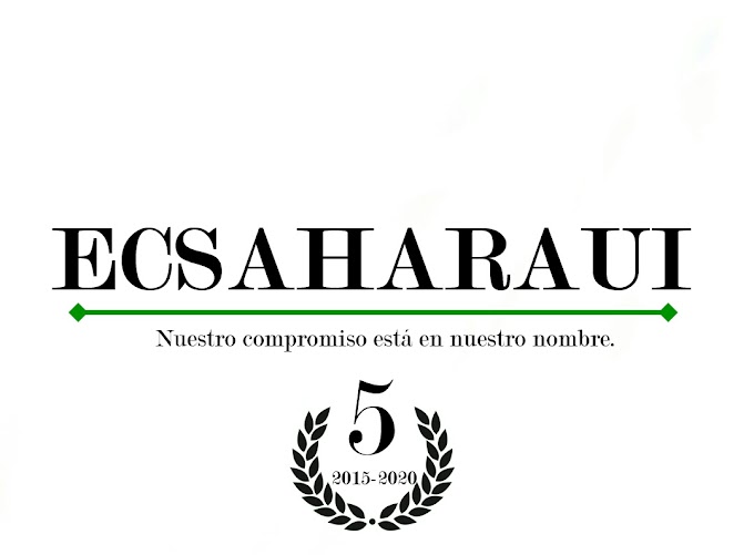 📊 Balance anual de datos de ECSAHARAUI©: Seguimos creciendo.