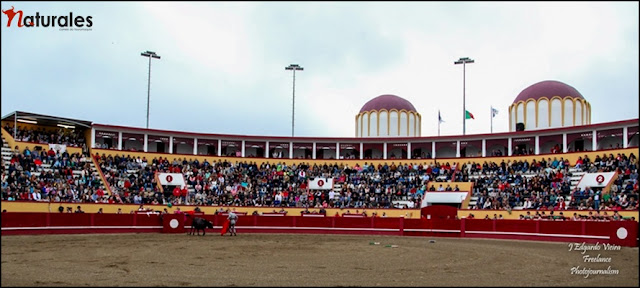 Imagens do Festival Taurino na Terceira