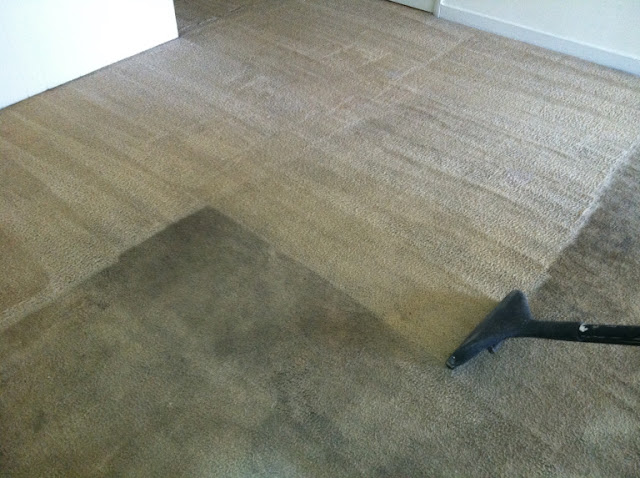 wet carpet cleaning northern beaches Sydney.