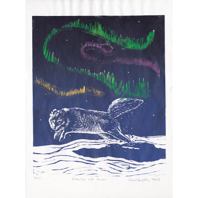 Arctic fox and Aurora, linocut, 9.25" x 12.5" by Ele Willoughby, 2023