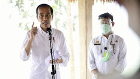 Jokowi Luncurkan Food Estate Mangga dan Taksi Alsintan di Gresik