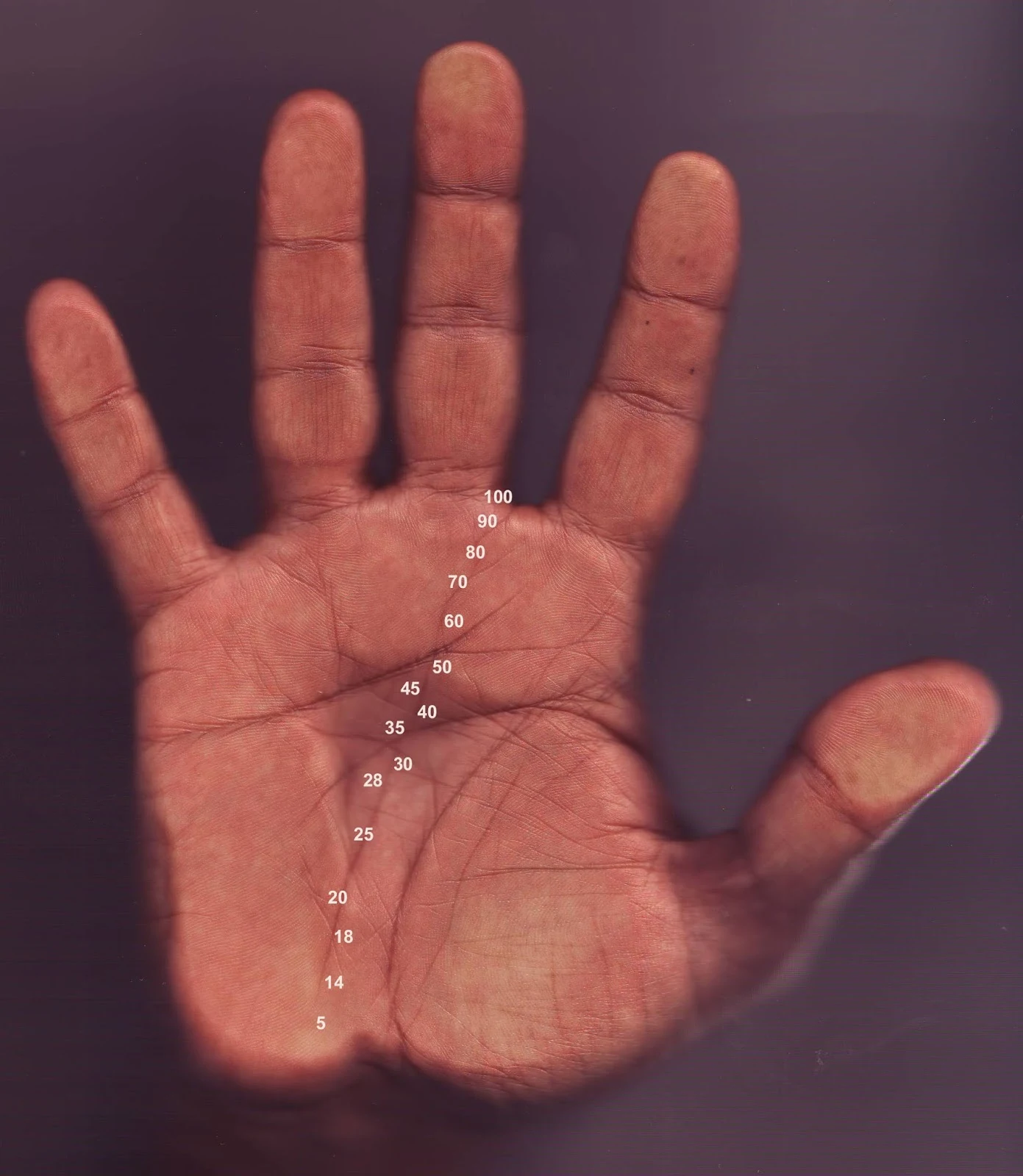 Types Of Fate Line In Palmistry