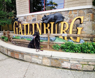 Great Smoky Mountains gateway