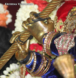 Sri Narasimha Swamy, Dhavana Utsavam, Venugoplan Thirukkolam,Theliya Singar, Azhaiya Singar,Thirumanjanam, Purappadu,  Triplicane,  Purappadu, Thiruvallikeni, Utsavam