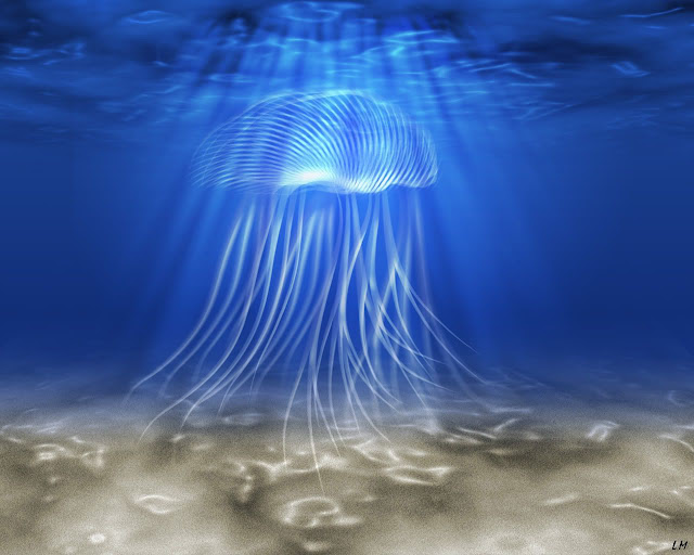 jellyfish 3d desktop wallpaper