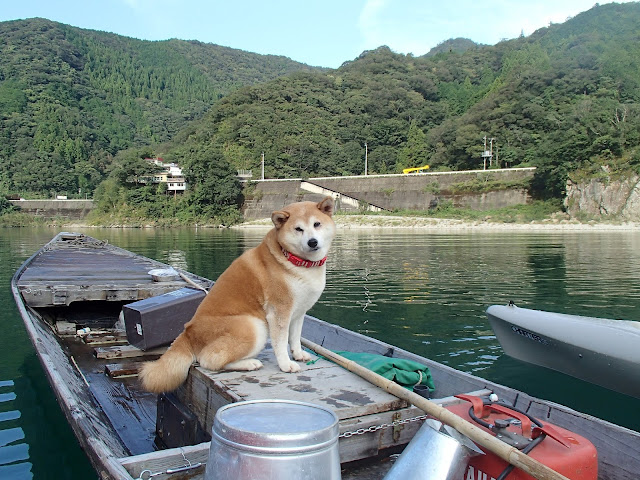 奇跡の清流