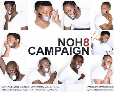 The NOH8 Campaign is a photo project and silent protest created by celebrity 