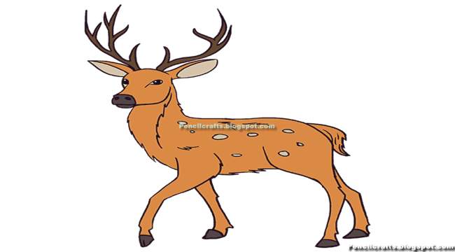 Color Pencil drawing Deer-beginner
