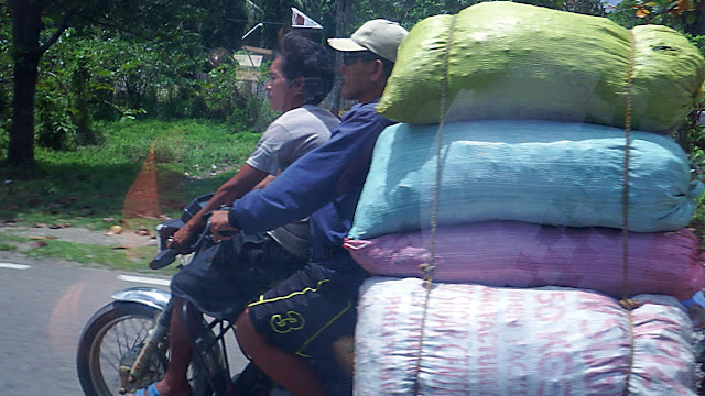 the overloaded motorcycle is carrying 15 sacks of produce and a passenger seated on the fuel tank, along the highway from Bobon to Catarman Northern Samar