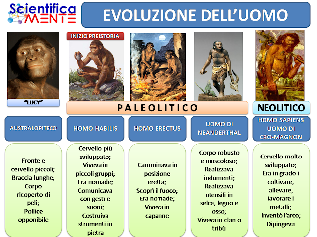 evoluzione dell'uomo - articolo