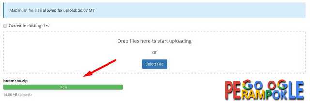 file upload sukses 100