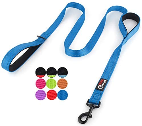 Primal Pet Gear Dog Leash – Double Handles Lead for Control Safety Training