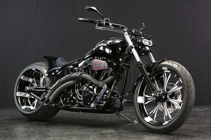 Inspirasi Terbaru 39+ Harley Davidson Softail Twin Cam