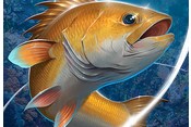 Fishing Hook v2.0.7 Mod Apk (Unlimited Money/No Ads) Terbaru