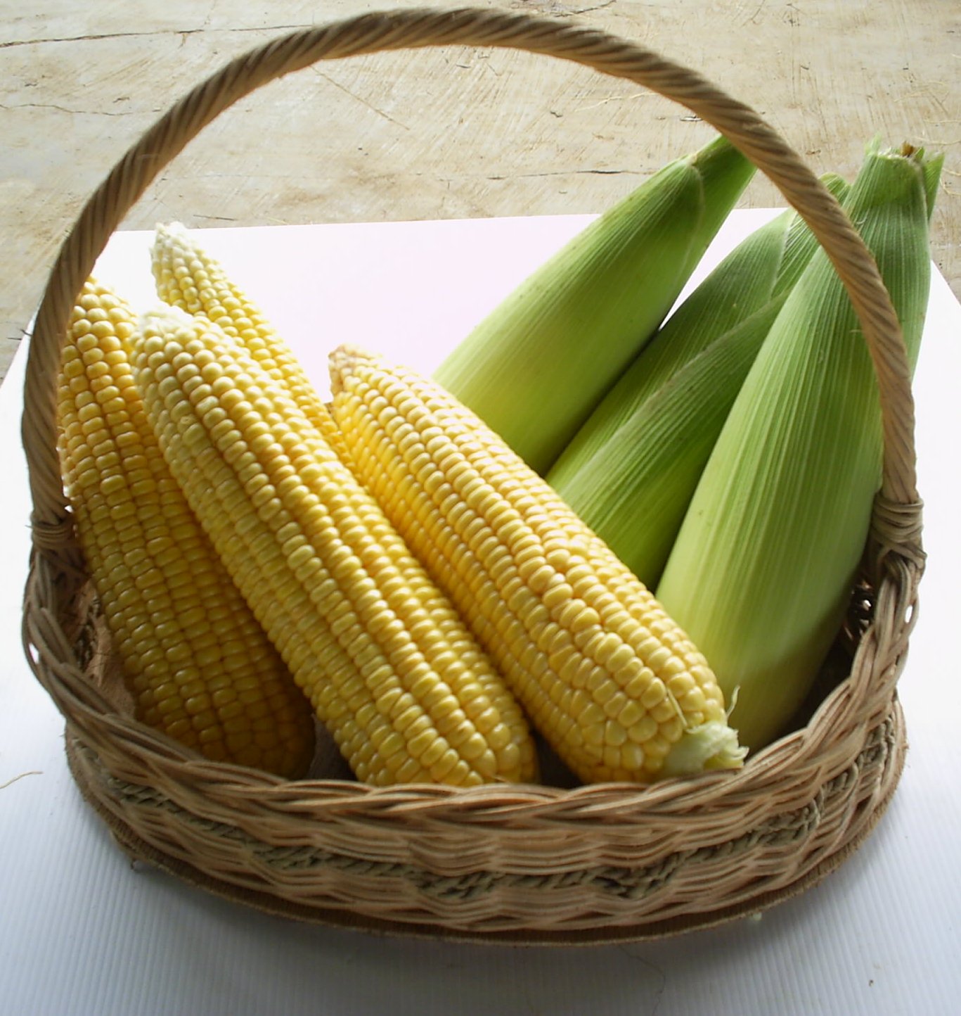 Waldowncurgeo - Makalah membuat laporan tanaman jagung