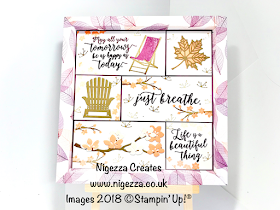 Shadow Frame Box Sampler Using Stampin' Up!® Natures Poem & Colourful Seasons Nigezza Creates