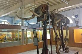 Museum in Chennai