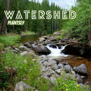 Watershed-Importance,Features and Principles