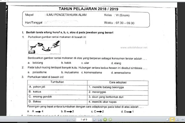 Prediksi Soal USBN SD Tahun 2019 Mata Pelajaran IPA