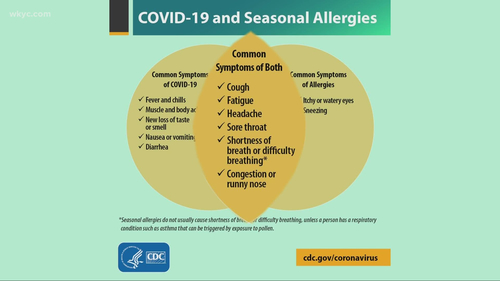 Understanding Cold Vs Allergies