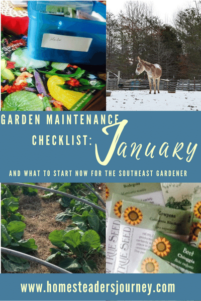 Garden Maintenance checklist for January and what to plant now for the southeast gardener! 