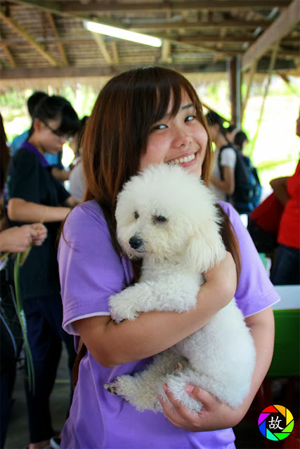 Balik Pulau Saanen Dairy Goat Farm