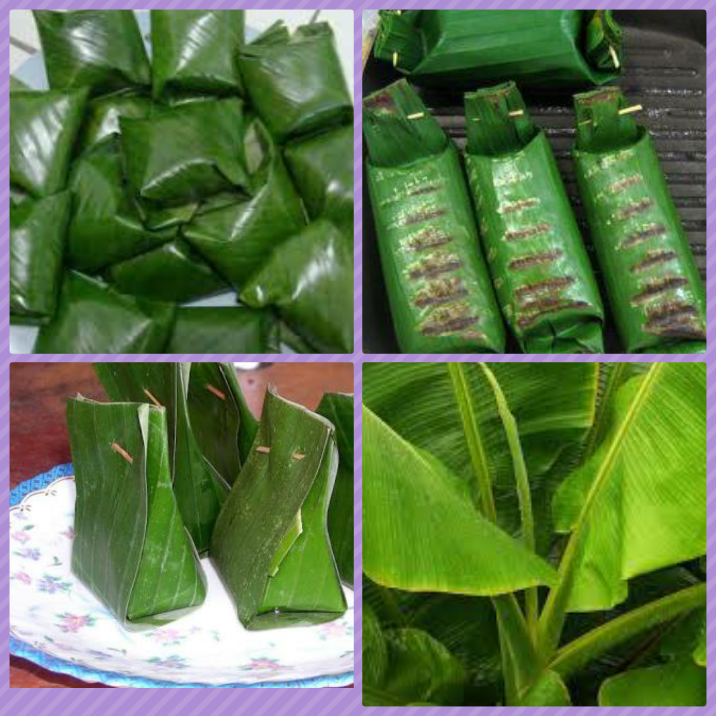  Bungkus  Makanan Dengan Daun  Pisang  Aku Ingin Tahu