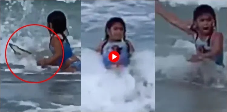 Shark attack on 6-year-old girl bathing on the beach, heartbreaking video
