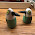 Salt n’ Pepper