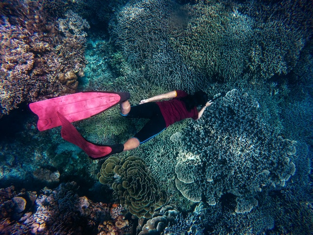 Peralatan Penting saat Snorkeling