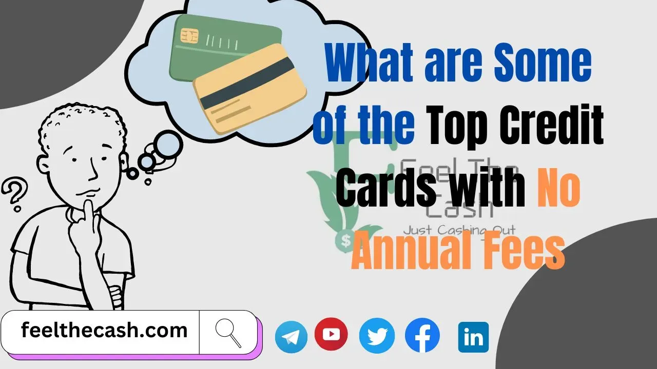 Credit Cards with No Annual Fees
