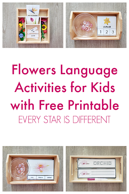 Flowers Language Activities for Kids with Free Printable