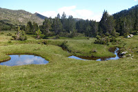 près du rec de la Grava