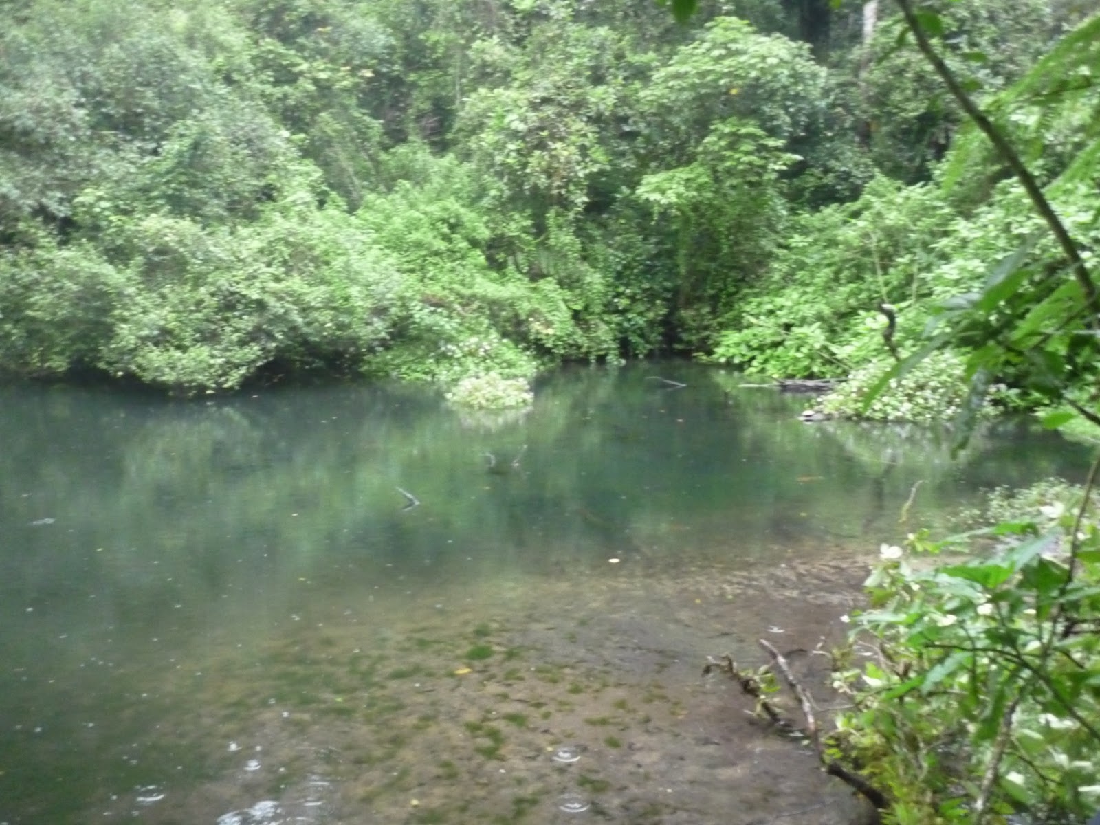 Jalan Satapak: Gunung Gede (Via Cibodas)