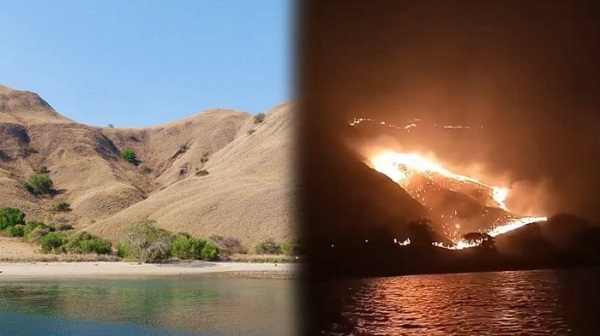 Inilah Orang Yang Diduga Pelaku Kebakaran Gili Lawa Taman Nasional Komodo