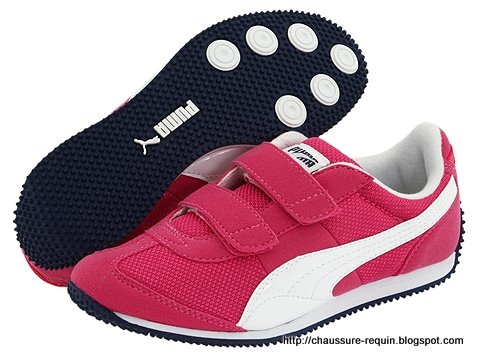 Chaussure requin:requin-531810