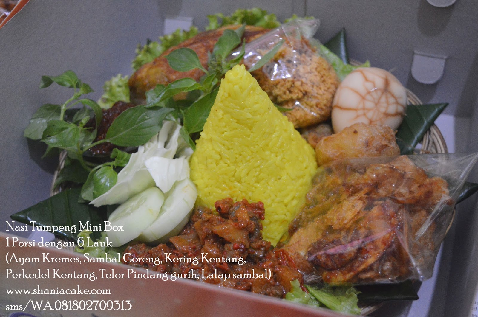  Tumpeng  Jogja Nasi  Tumpeng  Mini Box  Pak Fari Jogja 