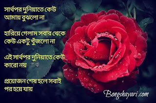 Bangla shayari