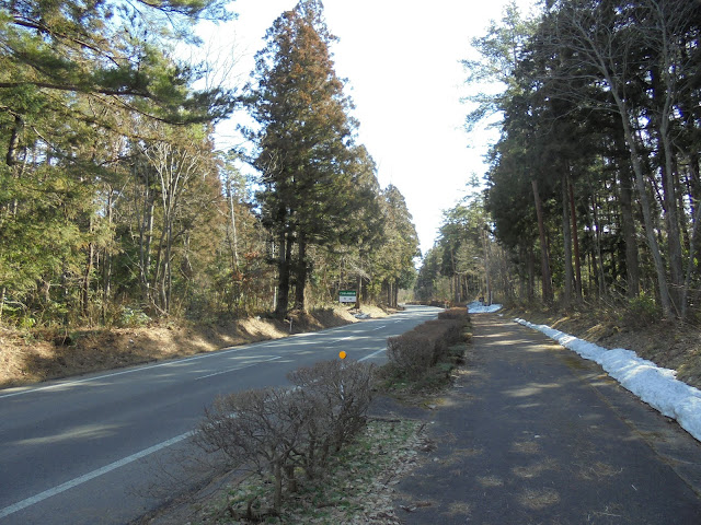 ロイヤルホテルの歩道