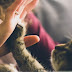 Separation Anxiety - Cats