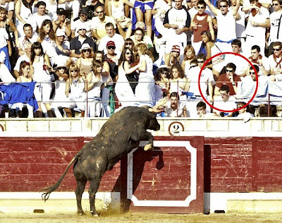 Man in a red England shirt get Weird Bull attack face to face Seen  On www.coolpicturegallery.net