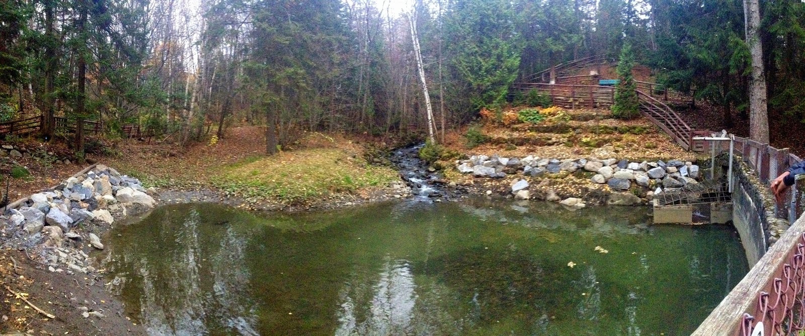 Parc Lepage à Rimouski