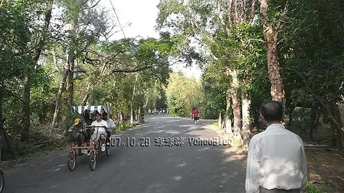 永安濱海景點｜新屋綠色走廊自行車道