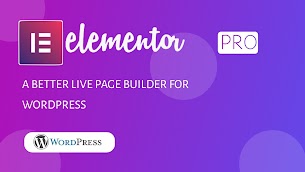 Elementor Pro -A Wordpress Page Builder