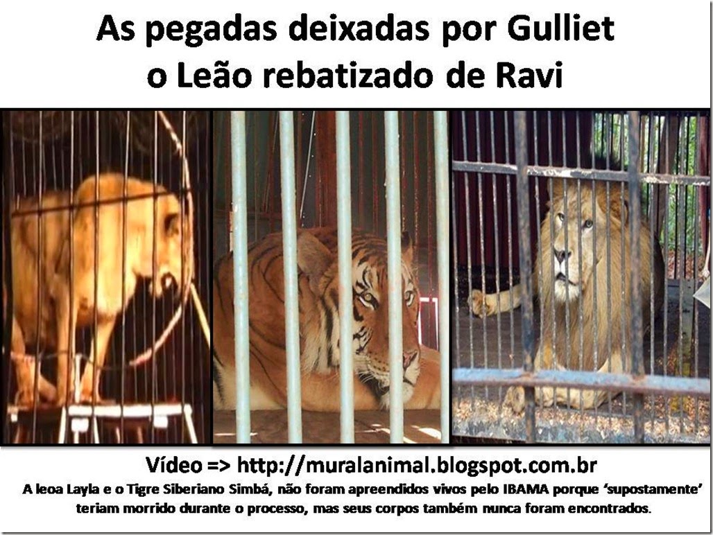 gulliet_leao_ravi