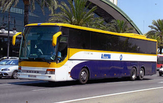 Vibasa monbus