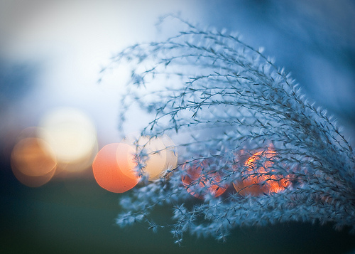 Bokeh Effect 01