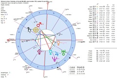astrology-horoscope-plane-delivery-heliocentric-chart